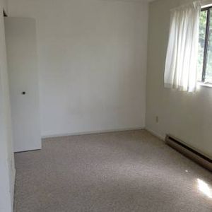 Bachelor Apartment for Rent Near Downtown Victoria - Photo 2