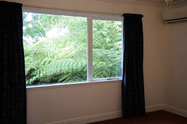 Elevated Spacious Dwelling in Browns Bay / Torbay - Photo 1