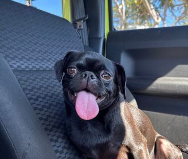 Surfers Paradise - Photo 4