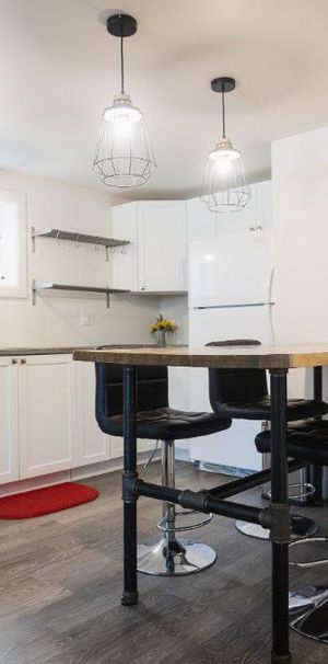 Beau grand 3 1/2 LUXUEUX avec walk-in disponible le 1er novembre 2025. - Photo 1