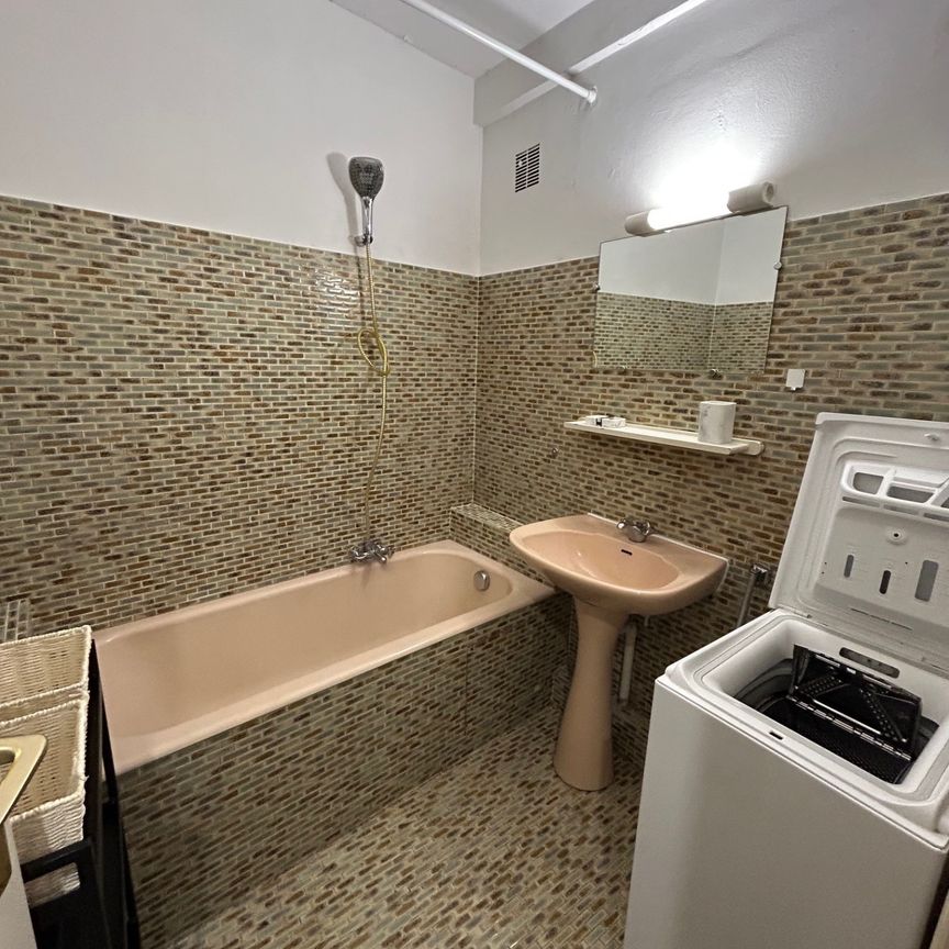 Location Appartement 1 pièce 24m² TOULOUSE 31000 - Photo 1