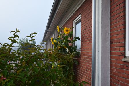 Brårupvej 105 B, 7800, Skive - Foto 5