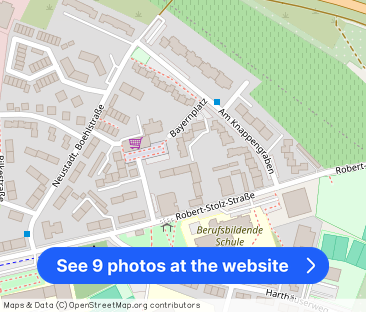 1-Zimmer-Wohnung mit Balkon in Neustadt an der Weinstraße mieten - Photo 1