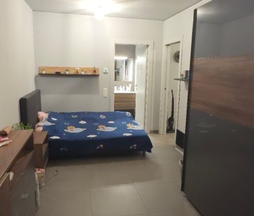 Subentrante - 2,5 Locali (Ascona) - Photo 3