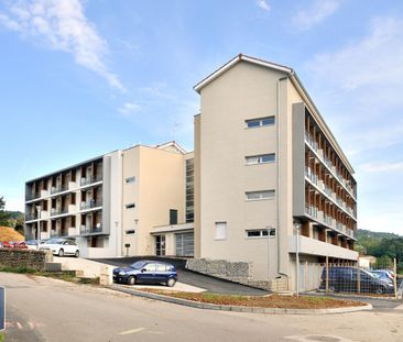 Location Appartement 1 pièce 18m² LIMONEST 69760 - Photo 1