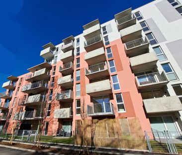 Neuwertige - geförderte 2 Zimmer Wohnung mit Balkon in zentraler La... - Photo 1
