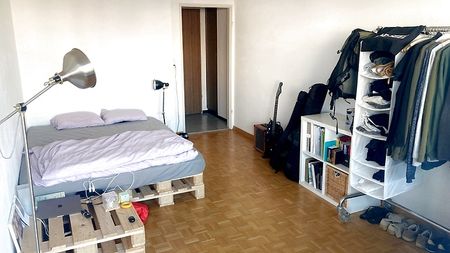 1 Zimmer-Wohnung in Zürich - Kreis 3 Wiedikon, möbliert, auf Zeit - Photo 3