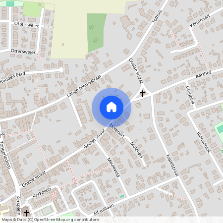 Geelsestraat 51, Westerlo Tongerlo - 2260