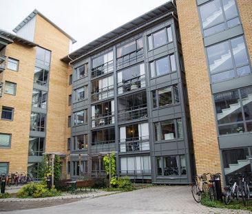 Hamngatan 41 C, 94162, Piteå - Foto 5