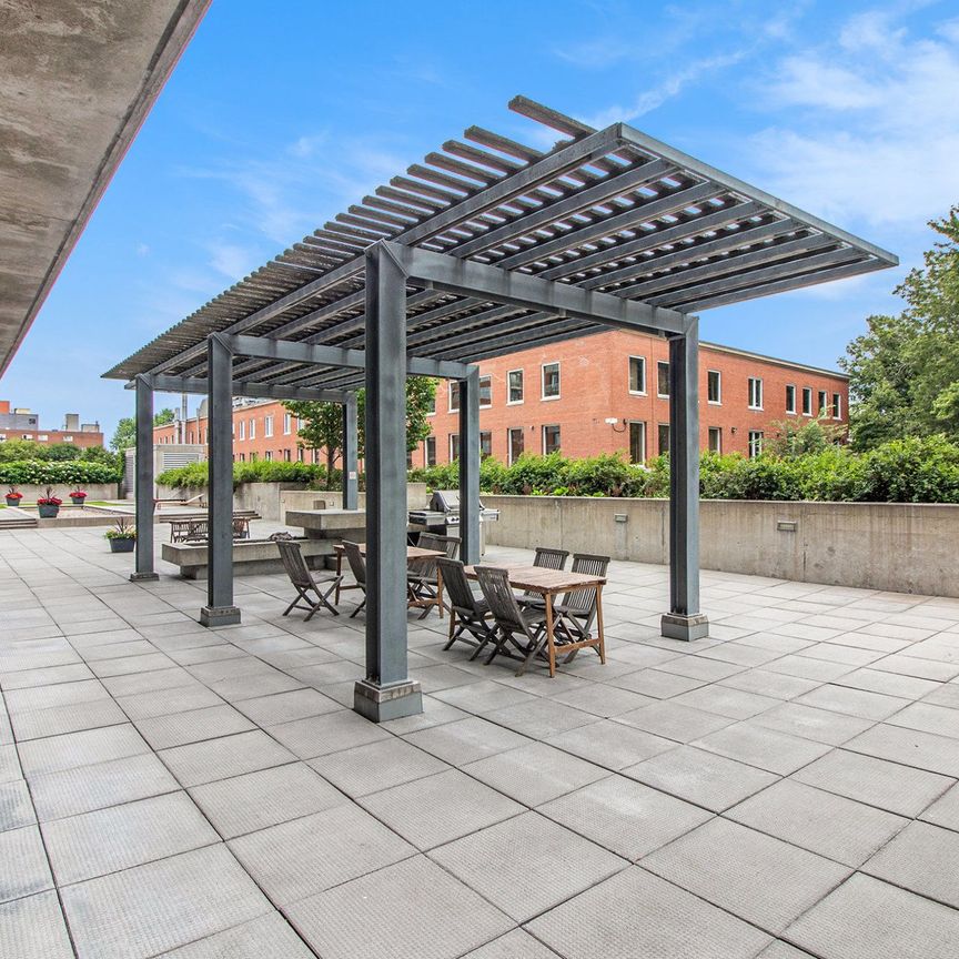 For Lease - 179 GEORGE Street Unit# 808, Lower Town - Sandy Hill, Ontario - Photo 1