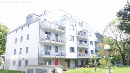 hübsche Balkonwohnung in Althietzing - 5 Jahre befristet - Photo 3