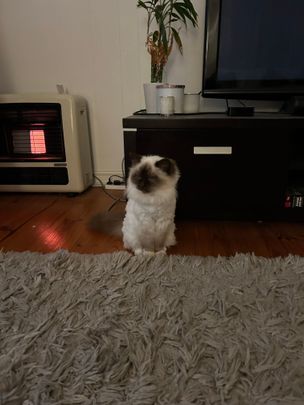 West Beach - Photo 1