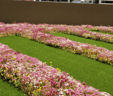 The International - Photo 2