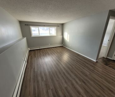 3609 Chaben Place - Photo 5