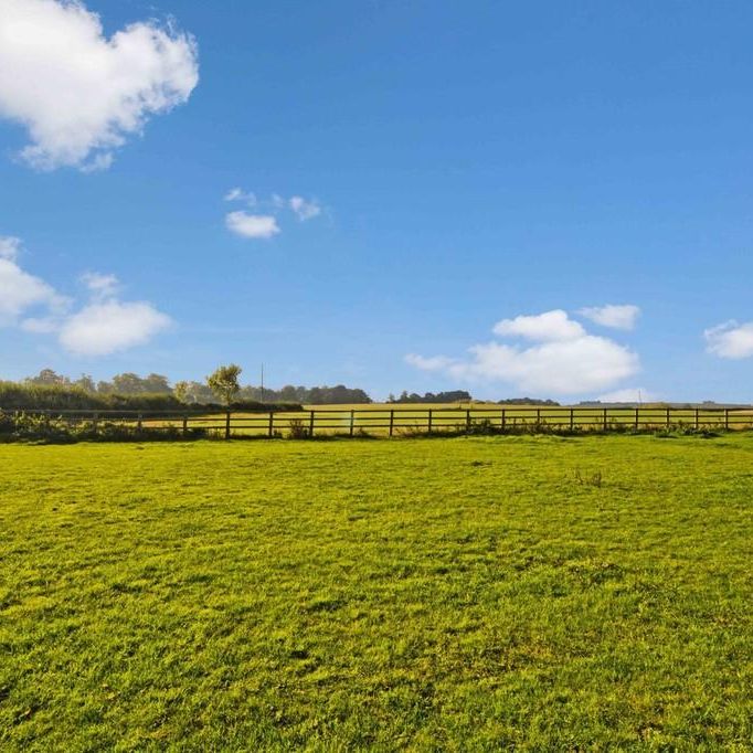 3 bedroom detached bungalow to rent - Photo 1