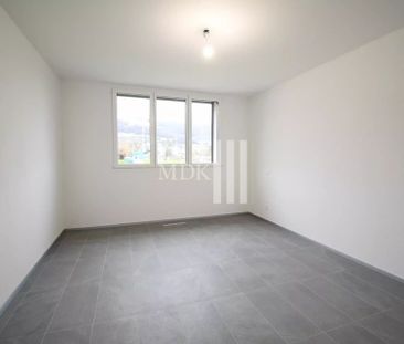 New 2.5-room apartment for rent in Monthey - Foto 6