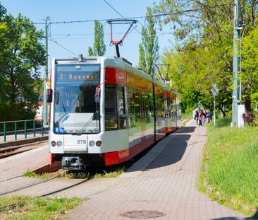 Klein, aber fein: "Wohnen ab 49 Jahre" - Mitte Mai bezugsfertig - Photo 2