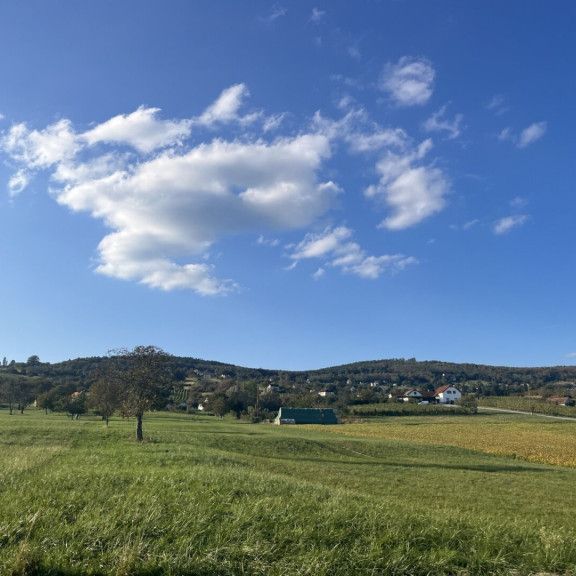 Erstbezug: Doppelhäuser/Reihenhäuser in der wunderbaren Umgebung Geschriebenstein - Photo 1