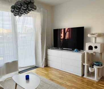 Orions bälte, Brandbergen - Photo 2