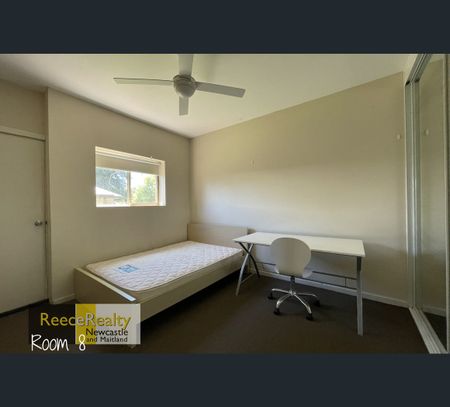18 Sunset Boulevard, North Lambton, NSW 2299 - Photo 3