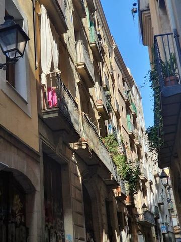 Carrer dEscudellers Blancs, Barcelona, Catalonia 08002 - Photo 4