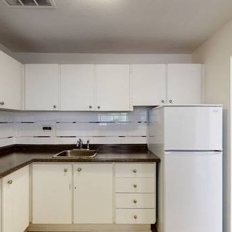 Modern 1-Bedroom Apartment for Rent – Pet Friendly – Apr 1st - Photo 1