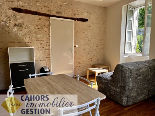 Location Appartement 2 pièces 26m² CAHORS 46000 - Photo 1