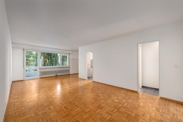 Schöne und helle 4.5 Zimmerwohnung in Binningen - Photo 1