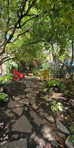 Superbe logement 4 ½ lumineux au vieux Chambly - Photo 4