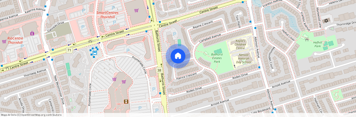 105 Patrice Crescent, Vaughan