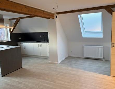 lichtdurchflutete Wohnung in Veckenstedt zu vermieten - Photo 1