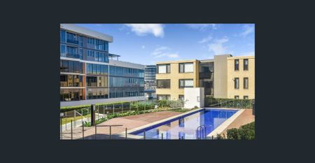 Stunning One Bedroom Apartment For Rent! - Photo 5