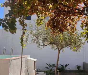 Oliva - Foto 3
