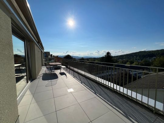 Möblierte Attika - Traumsicht über Zürich bis Uetliberg - neuwertig! - Photo 1