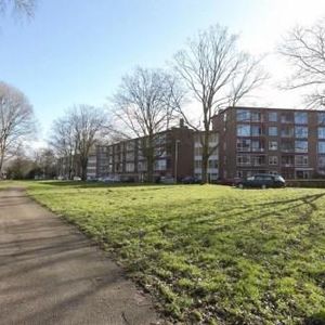Vechtplantsoen, 3554 TC Utrecht, Nederland - Foto 2
