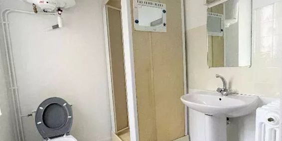 Location Appartement 1 pièces 25 m2 à La Guerche-de-Bretagne - Photo 3