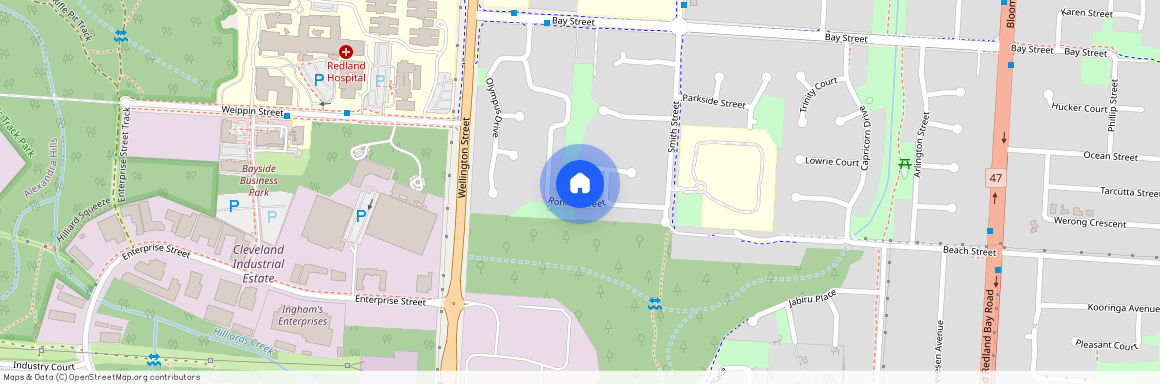 17 Ronnie Street, Cleveland, QLD 4163