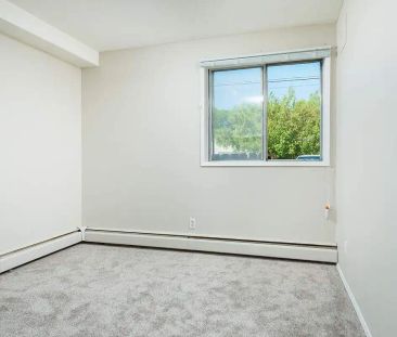Carina Apartments — 1 Bedroom - Photo 1
