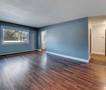 Modern &amp; Convenient | 2 Bedrooms | 1 Bathroom - Photo 3