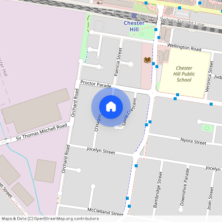 7 O'Hagon Street, NSW 2162, Chester Hill