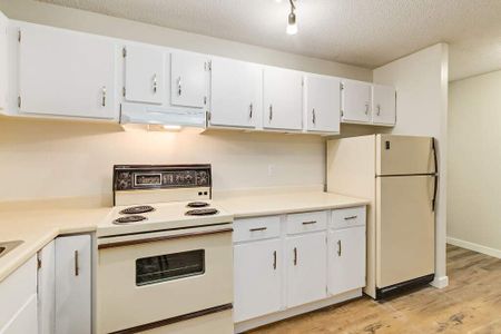 Renovated Suite - 1 Bedroom - Photo 5