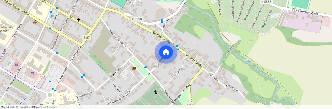 Felgenhauer Straße 7, 01589 Sachsen - Riesa