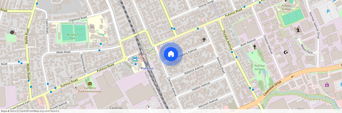 8 Freyberg Avenue, Papatoetoe, Manukau City