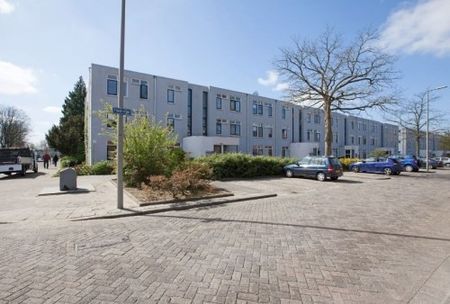 Heindijk 0ong, 3079 Rotterdam, Nederland - Foto 3