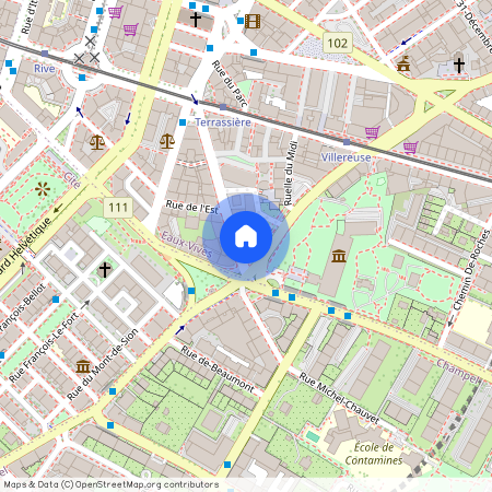 Rue Adrien-Lachenal 19, Rive