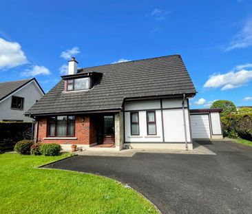 14 Henderson Park, Waterside, Derry/Londonderry, BT47 6US - Photo 4