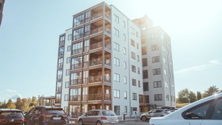 Frostaliden 2 - Foto 4