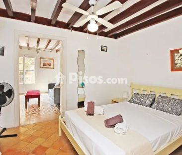 Piso en alquiler en Carrer del Jardí Botànic, 8 - Photo 3