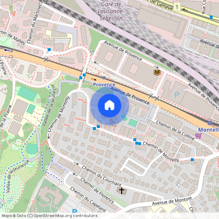 1007, LAUSANNE, Chemin De Montelly, 66