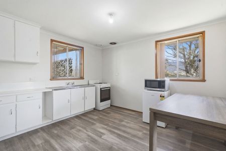 Neat & Tidy 3-Bedroom Home with Spacious Yard & Shed - Photo 5